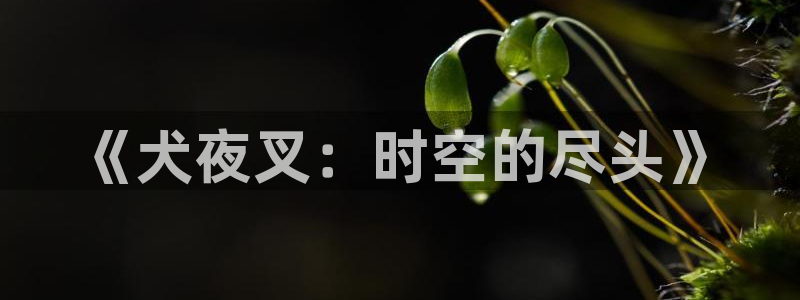 51漫画下载安装：《犬夜叉：时空的尽头》